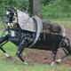 Illustration for article titled The Most Uncanny Robotic Animals That Humankind Has Ever Invented